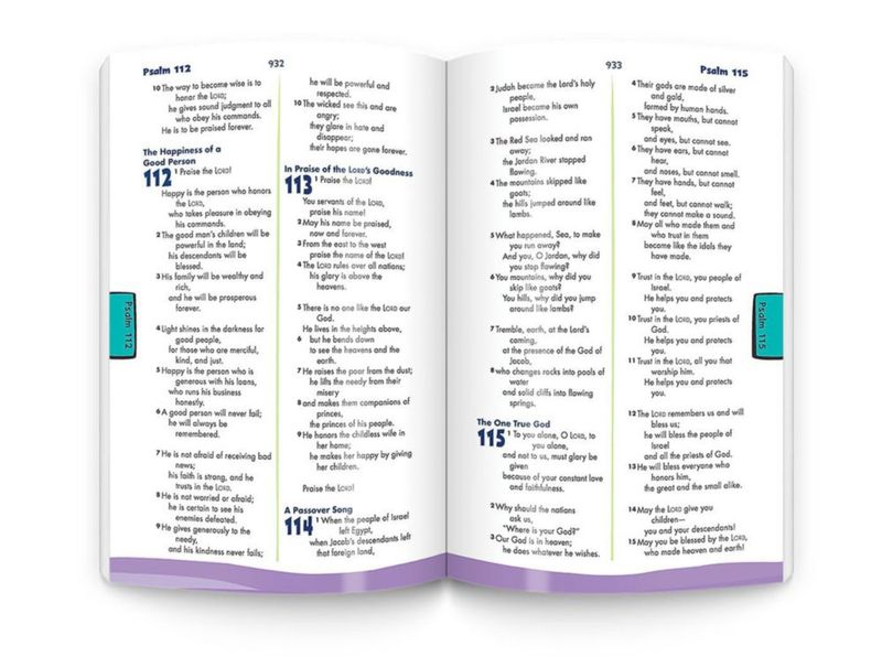 Biblia Infantil de Saint Mary's Press (tapa blanda)