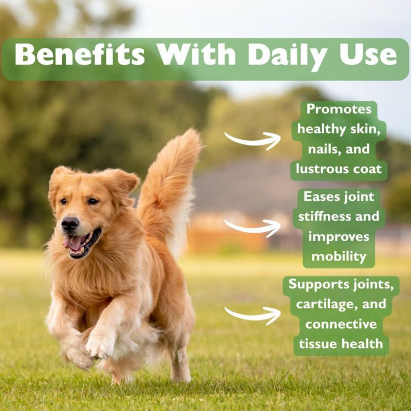 Polvo de MSM KALA HEALTH 454 g para perros (1 lb)