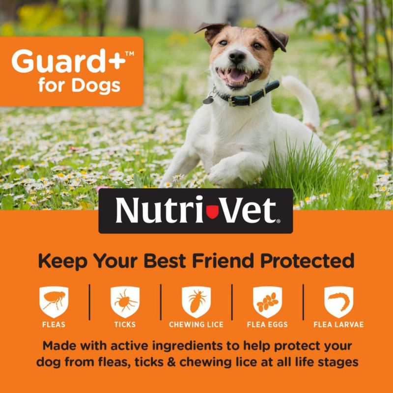 Tratamiento antipulgas Nutri-Vet 3 dosis para perros de 23‑10 kg