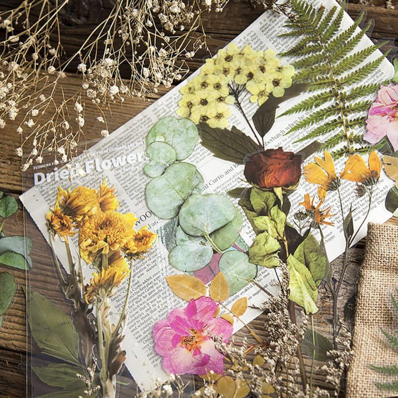 Pack de 48 pegatinas transparentes MAXLEAF de plantas y flores vintage gran tamaño