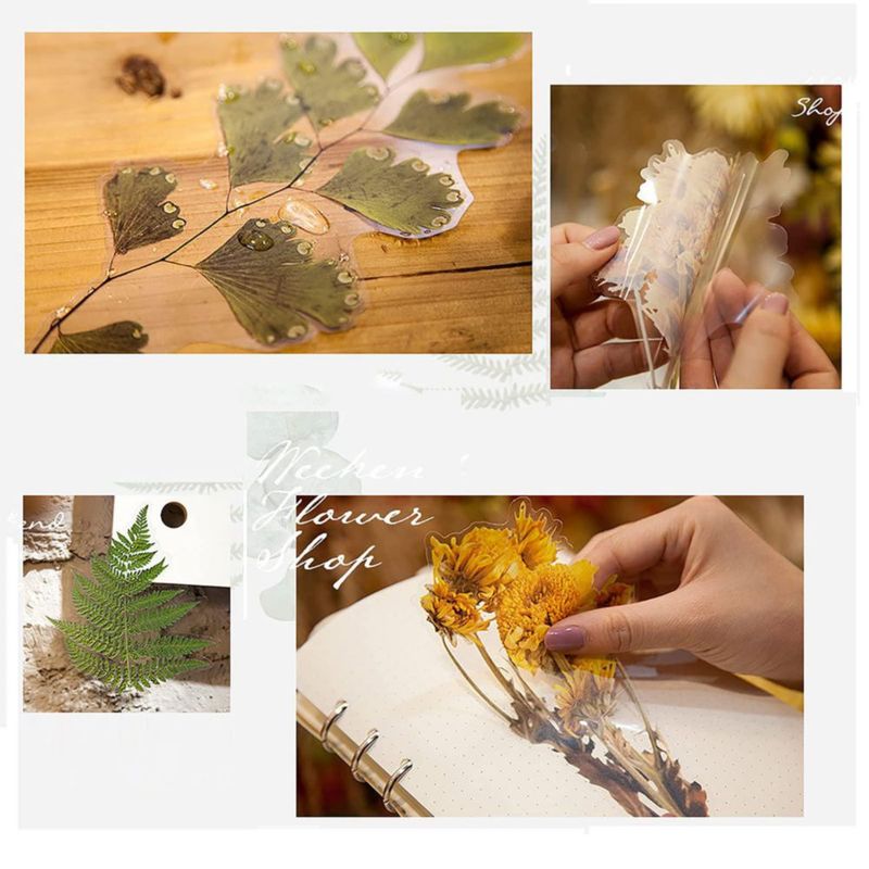 Pack de 48 pegatinas transparentes MAXLEAF de plantas y flores vintage gran tamaño