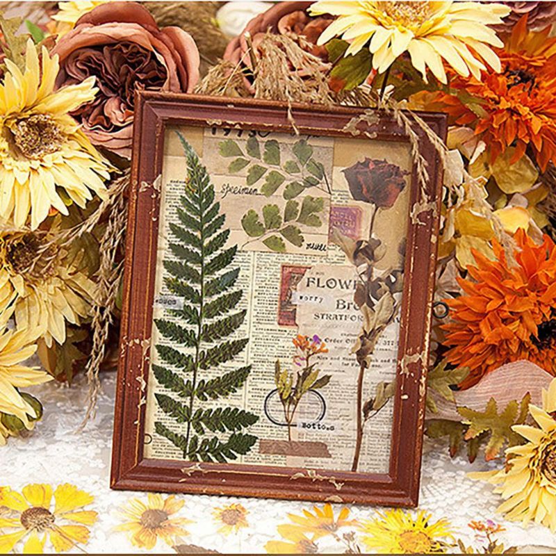 Pack de 48 pegatinas transparentes MAXLEAF de plantas y flores vintage gran tamaño