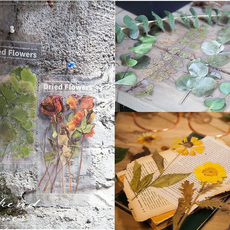 Pack de 48 pegatinas transparentes MAXLEAF de plantas y flores vintage gran tamaño
