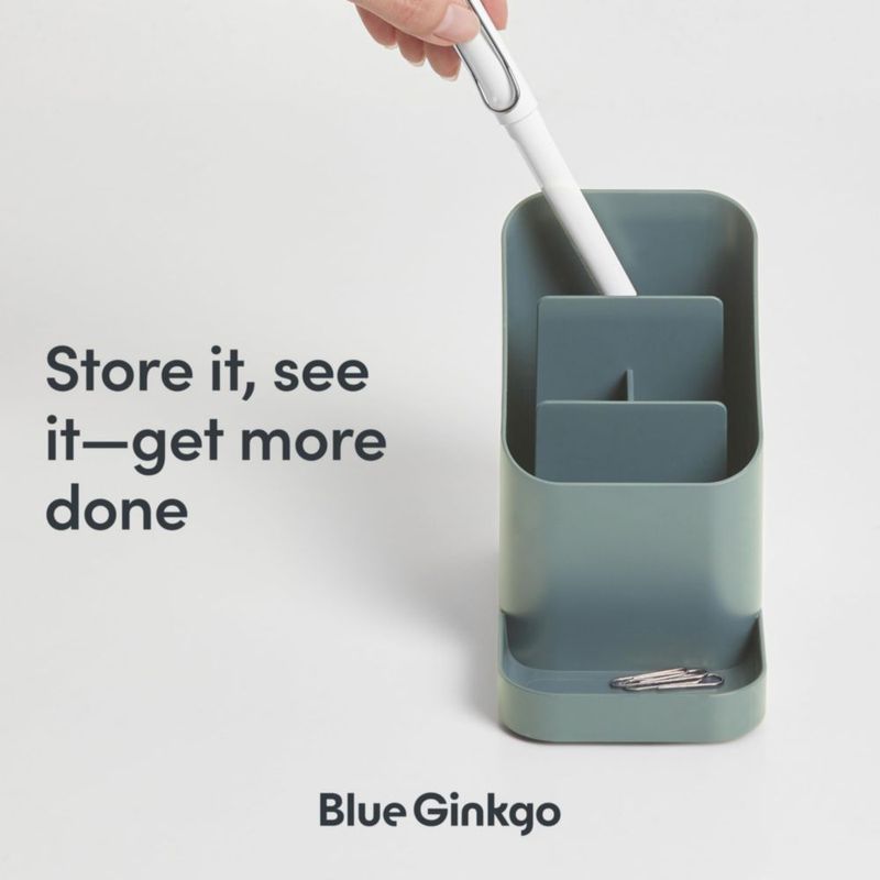 Caddy BLUE GINKGO Verde – Fabricado en Corea