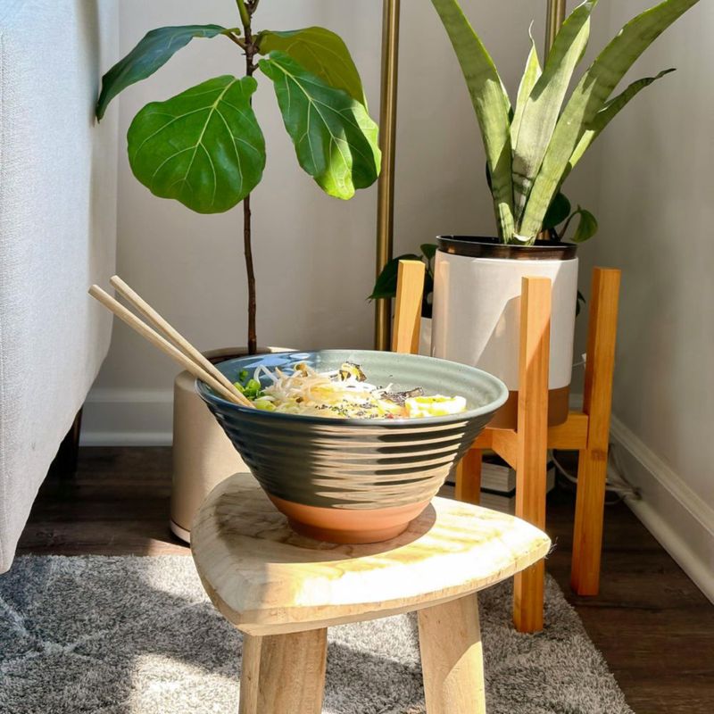 Juego de 2 tazones de ramen MORA 45 oz acabado carbón aptos para microondas