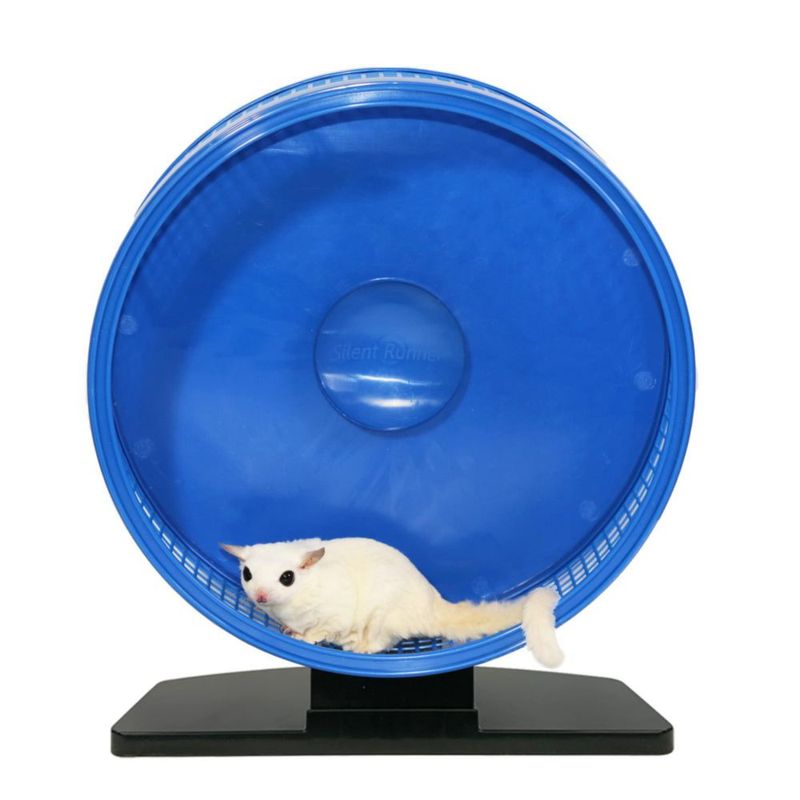 Rueda de Ejercicio Exotic Nutrition 30 cm Negra con Accesorio