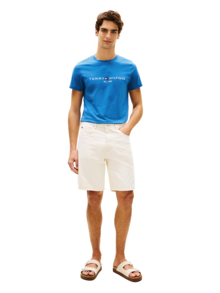 Camiseta Tommy Hilfiger Blue Orbit X-Large