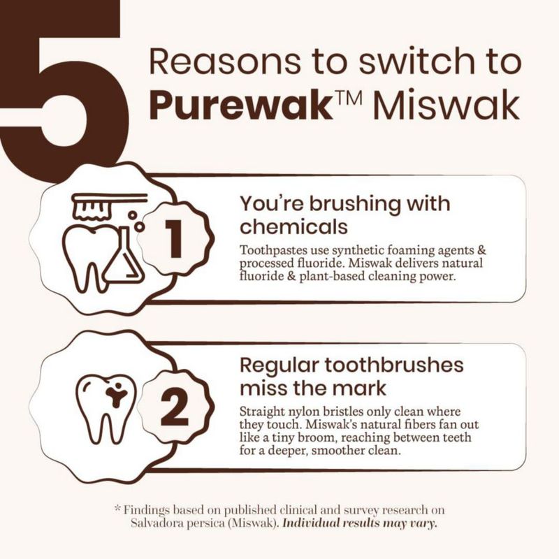Cepillo de dientes PUREWAK Palillos de Miswak 4 unidades Natural