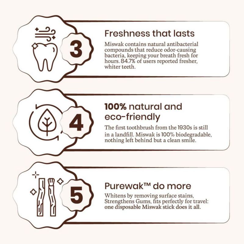 Cepillo de dientes PUREWAK Palillos de Miswak 4 unidades Natural