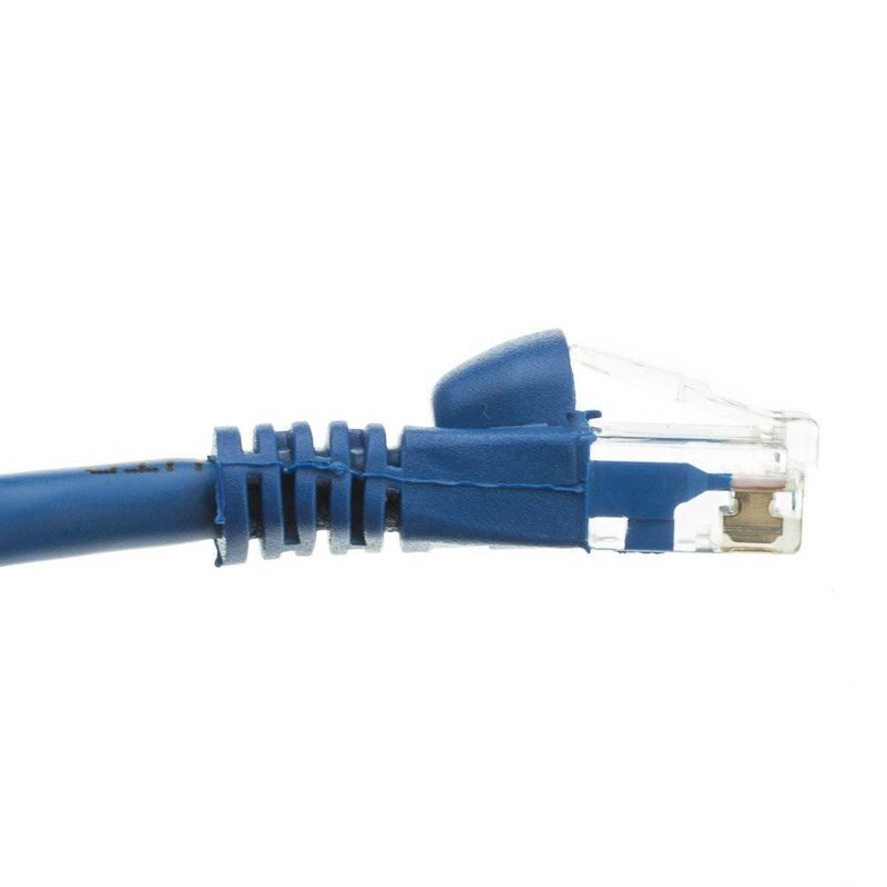 Cable Ethernet Futureonics Cat6 46 cm (100 unidades) Azul