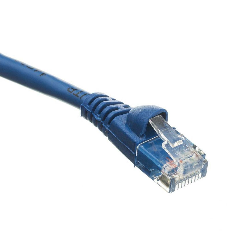 Cable Ethernet Futureonics Cat6 46 cm (100 unidades) Azul