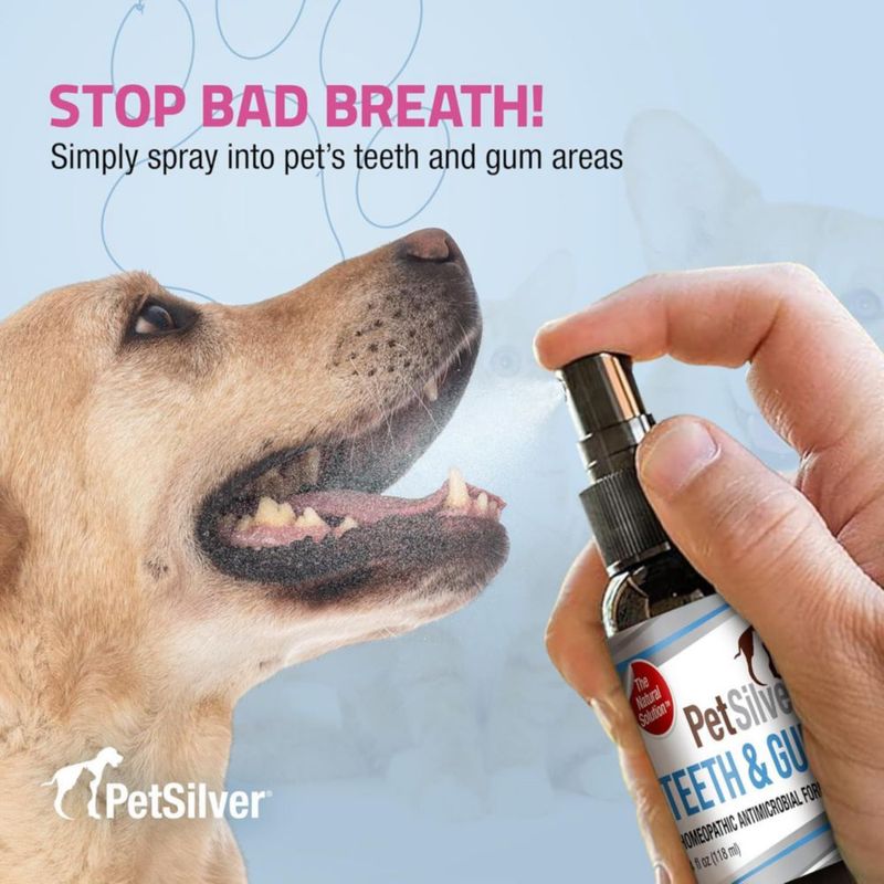 Spray dental PetSilver 118 ml (2 unidades) para perros y gatos