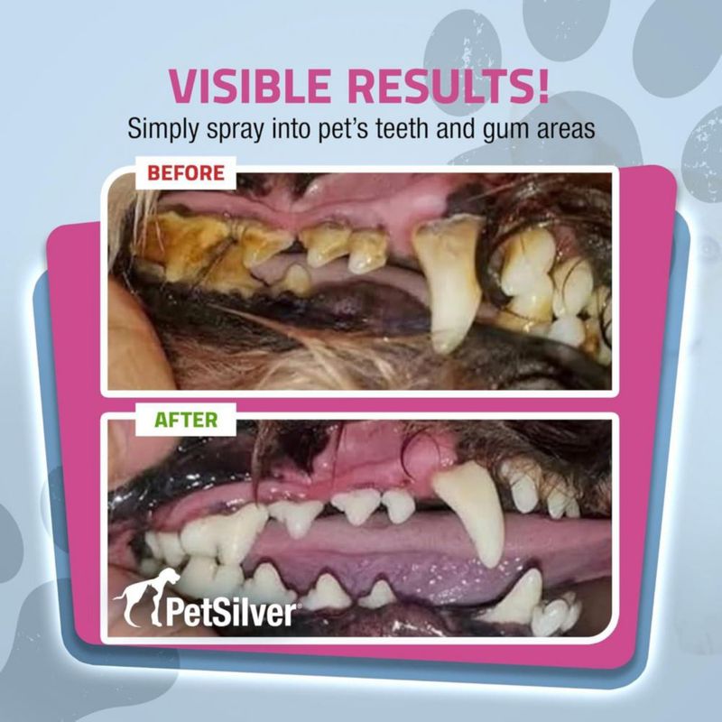 Spray dental PetSilver 118 ml (2 unidades) para perros y gatos