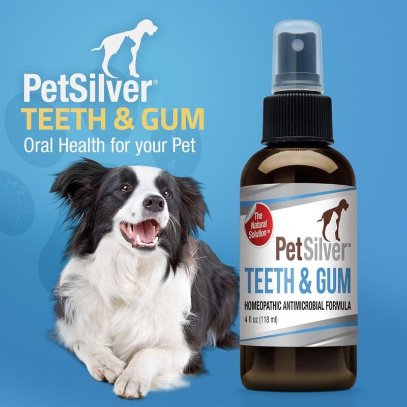 Spray dental PetSilver 118 ml (2 unidades) para perros y gatos