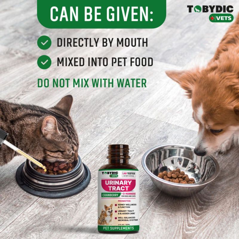 Apoyo al Tracto Urinario TOBYDIC 120 ml Arándano – Salud Renal para Mascotas