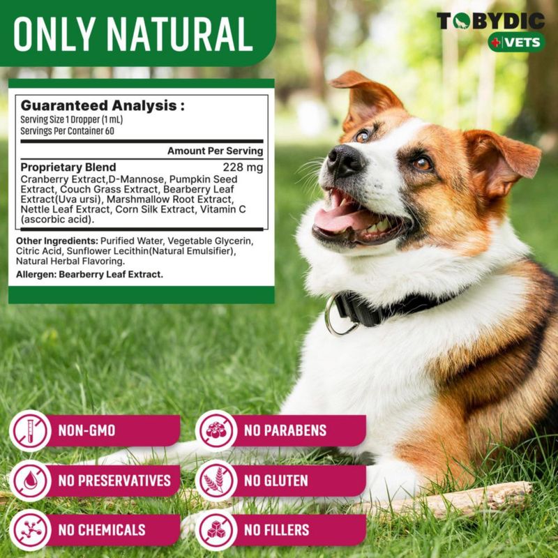 Apoyo al Tracto Urinario TOBYDIC 120 ml Arándano – Salud Renal para Mascotas