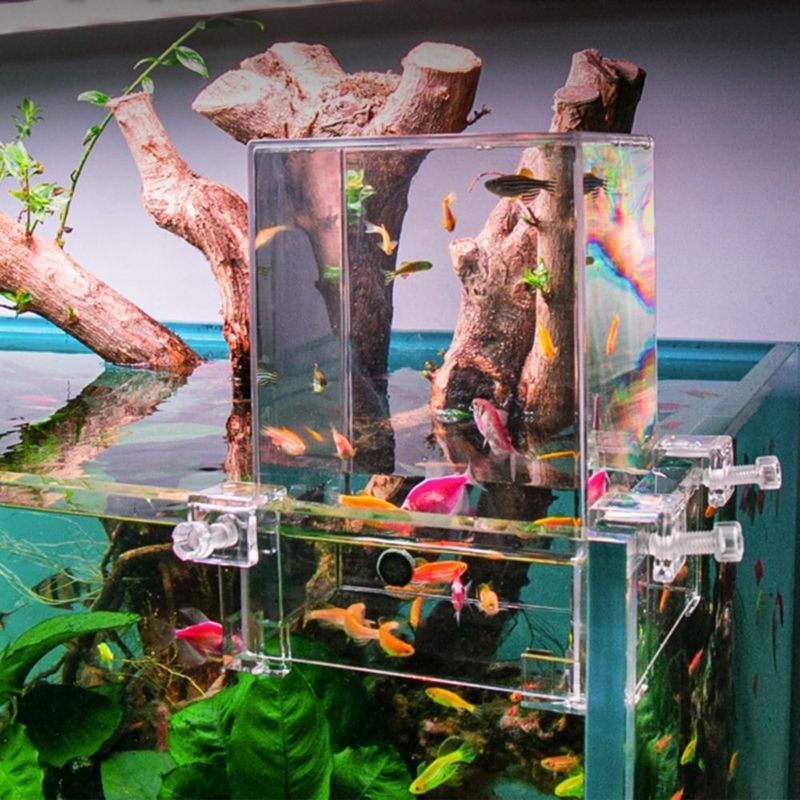 VIVARIUM NestBasics 19 cm × 13 cm × 12 cm Auto-rellenado