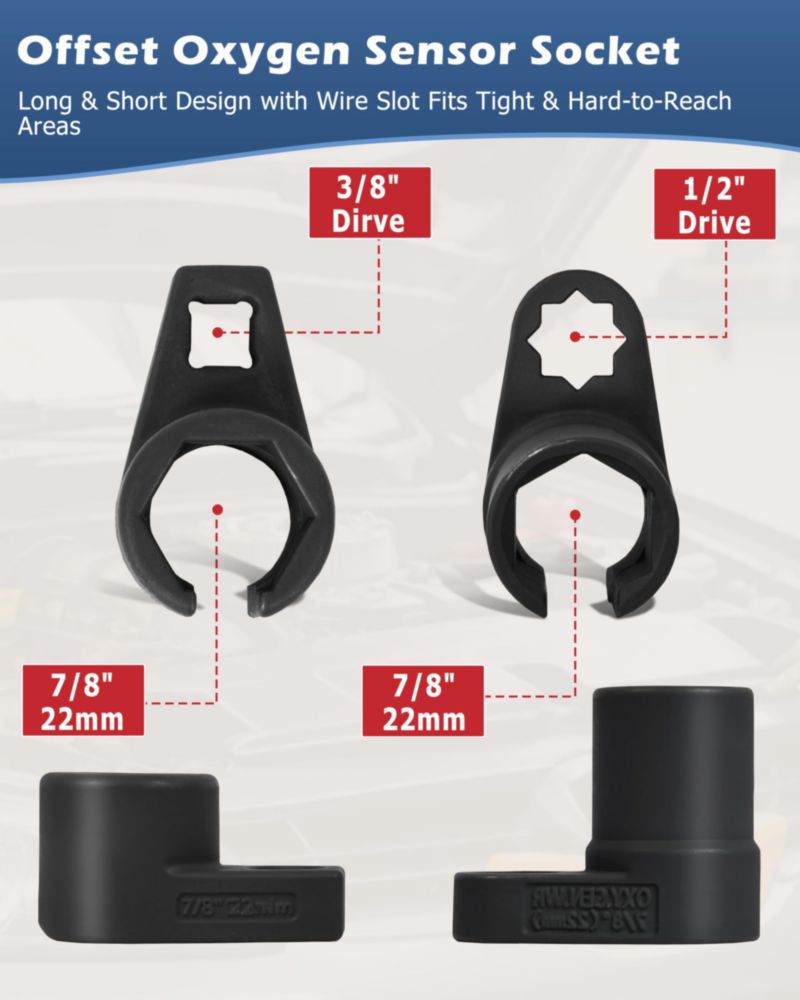 Juego de 5 piezas de vasos para sensor O2 DAYUAN