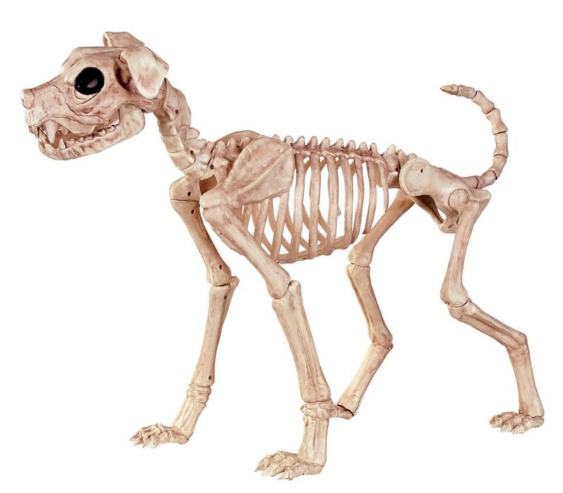 Figura de acción Crazy Bonez 53 cm Perro esqueleto