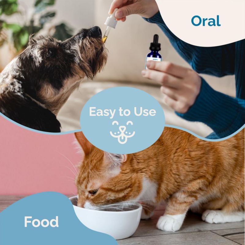 Suplemento para Perro y Gato PranaPets 59 ml Mezcla Inmunitaria
