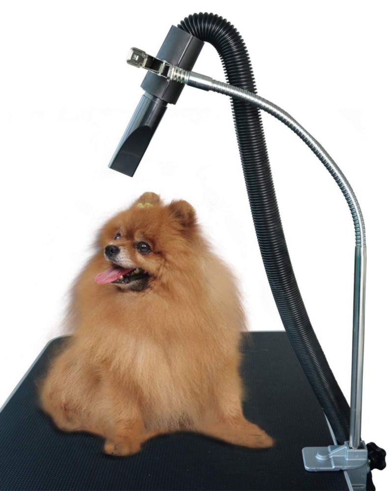 Soporte para secador de peluquería de mascotas SHELANDY 86 cm abrazadera de acero inoxidable