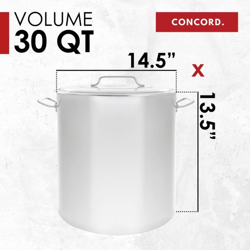 Olla de Fondo Concord Cookware 28 L Acero Inoxidable