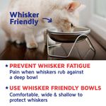 Cuenco para gato Americat Company SS de 16 oz con soporte elevado