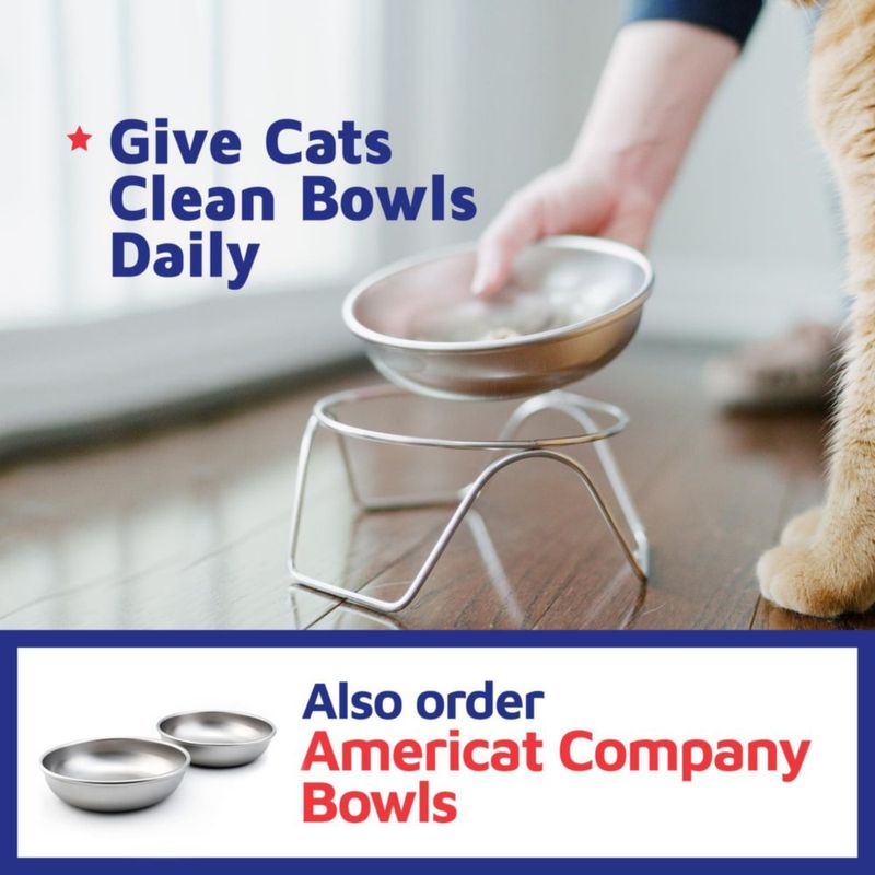 Cuenco para gato Americat Company SS de 16 oz con soporte elevado