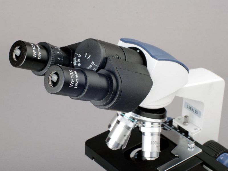 Microscopio AmScope 40X-2000X LED con captura USB