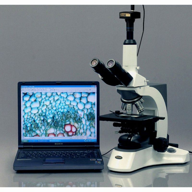 Cámara de Microscopio AmScope 8MP USB 2.0 Foto y Video