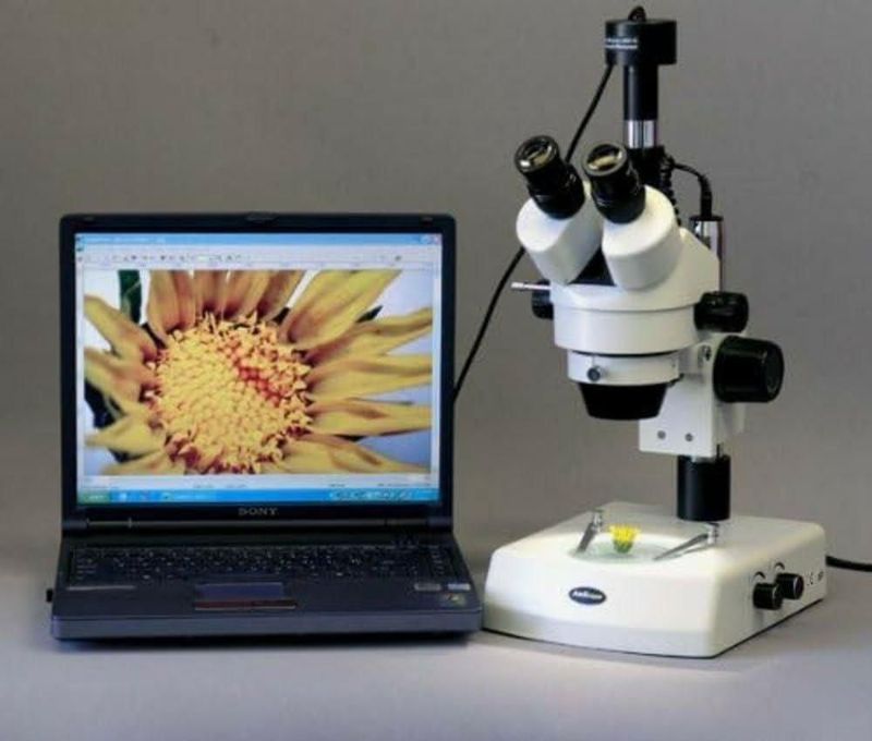 Microscopio Digital Trinocular con Zoom AmScope SM-2TZ-M