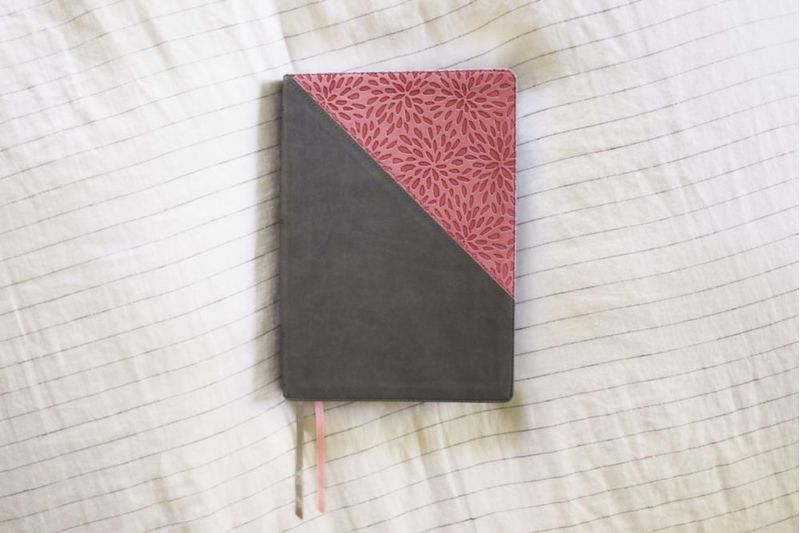 Biblia de estudio Zondervan gran formato gris/rosa