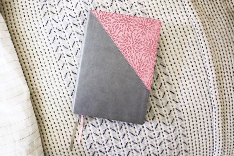 Biblia de estudio Zondervan gran formato gris/rosa