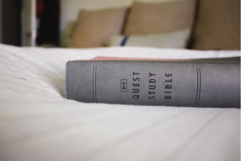 Biblia de estudio Zondervan gran formato gris/rosa