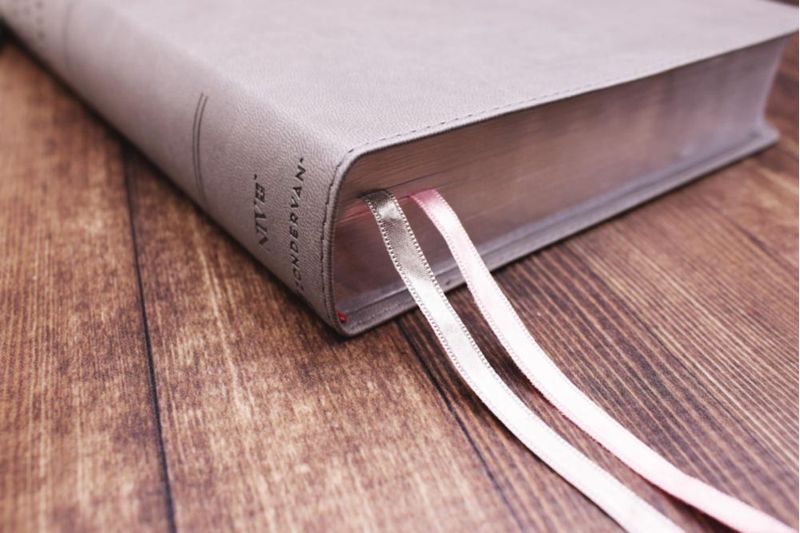 Biblia de estudio Zondervan gran formato gris/rosa