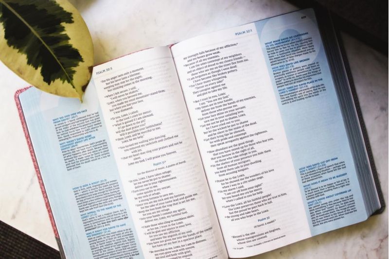 Biblia de estudio Zondervan gran formato gris/rosa