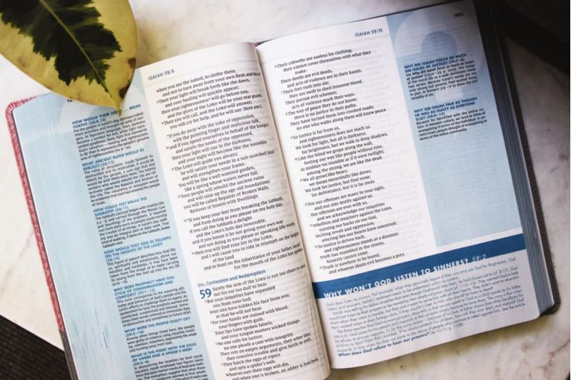 Biblia de estudio Zondervan gran formato gris/rosa