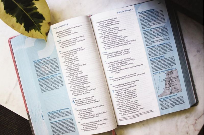 Biblia de estudio Zondervan gran formato gris/rosa