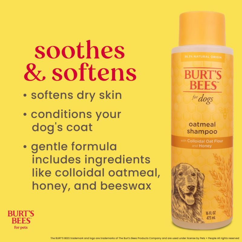 Champú para perros BURT'S BEES FOR PETS 473 ml (paquete de 6)