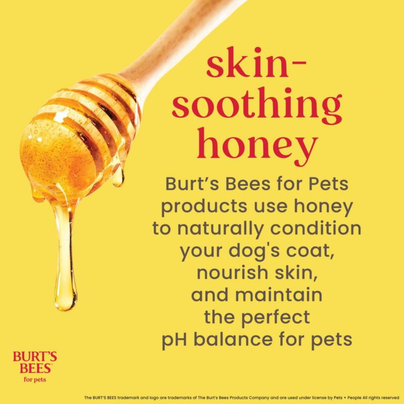 Champú para perros BURT'S BEES FOR PETS 473 ml (paquete de 6)
