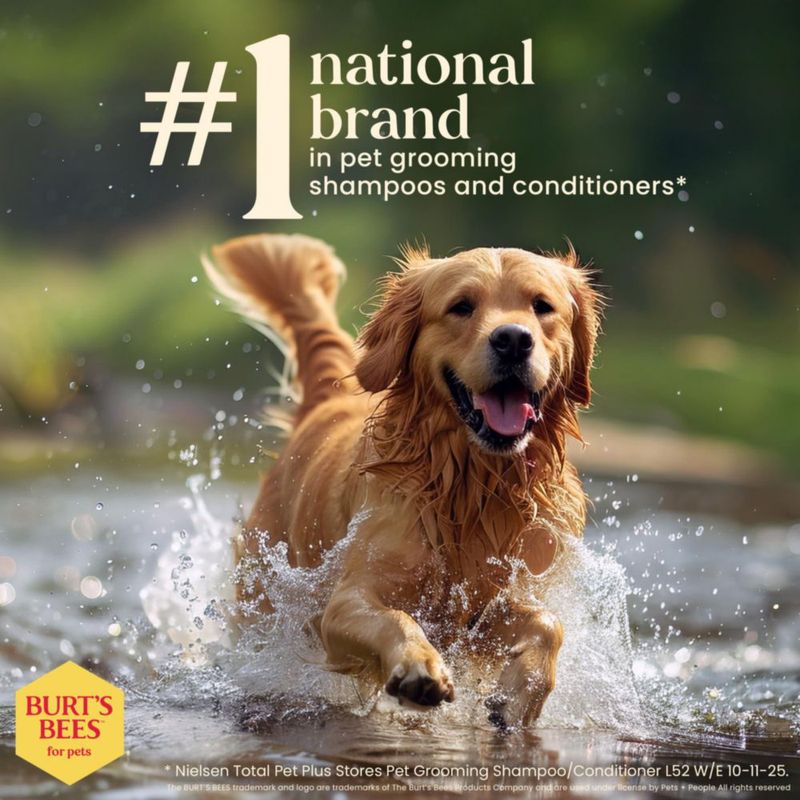 Champú para perros BURT'S BEES FOR PETS 473 ml (paquete de 6)
