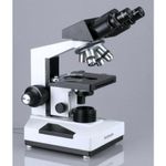 Microscopio AmScope B490B-LED WF10x WF20x
