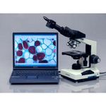 Microscopio AmScope B490B-LED WF10x WF20x