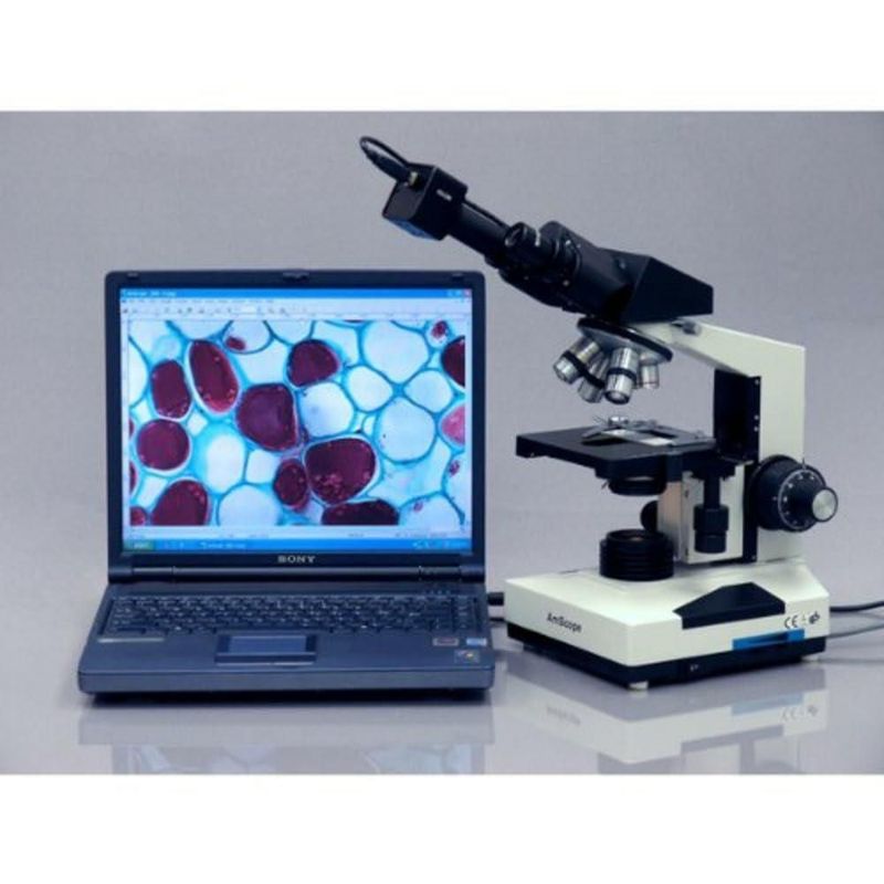 Microscopio AmScope B490B-LED WF10x WF20x