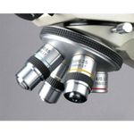 Microscopio AmScope B490B-LED WF10x WF20x