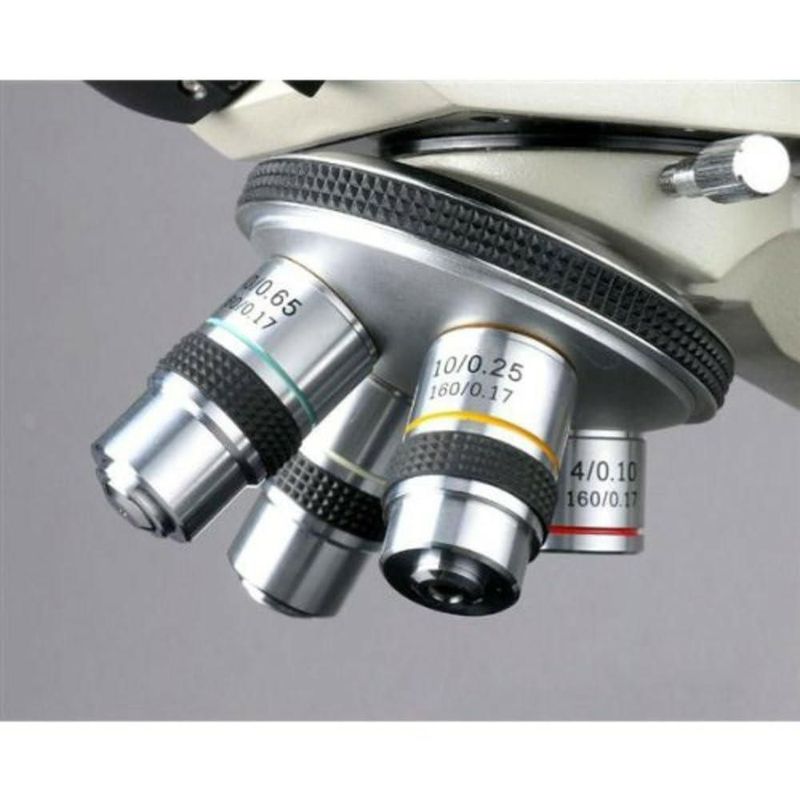 Microscopio AmScope B490B-LED WF10x WF20x