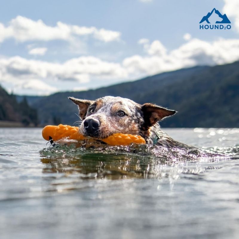 Juguete flotante para perro HOUND2O Bumper con cuerda – Naranja