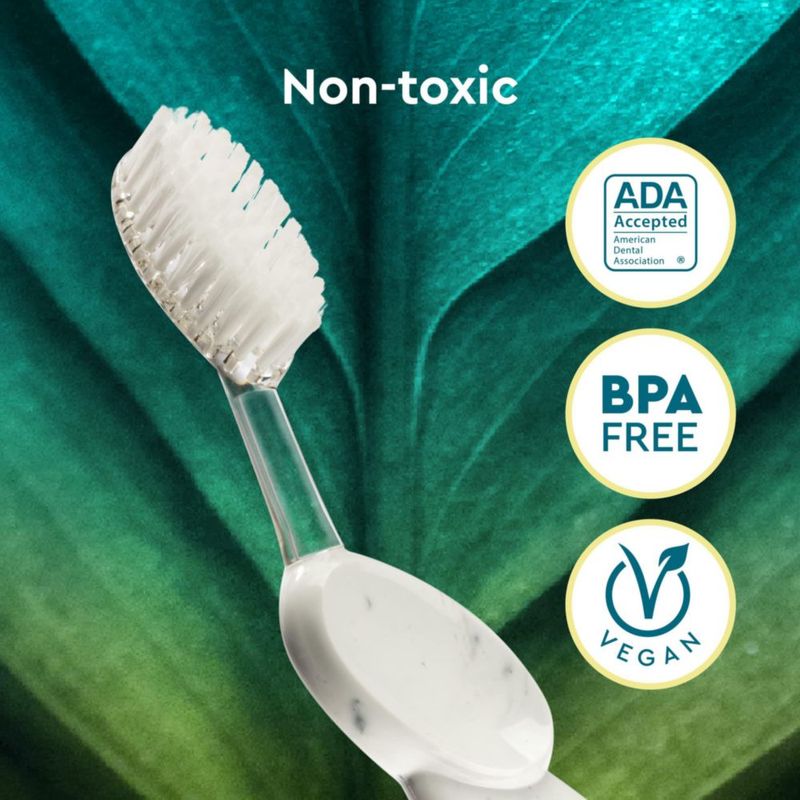 Cepillo de dientes RADIUS Big Brush pack de 6 variedad para diestros