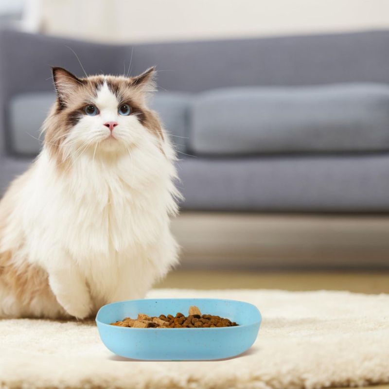 Tazón para gato HMDZMR 15 cm poco profundo 4 unidades reduce la fatiga de los bigotes