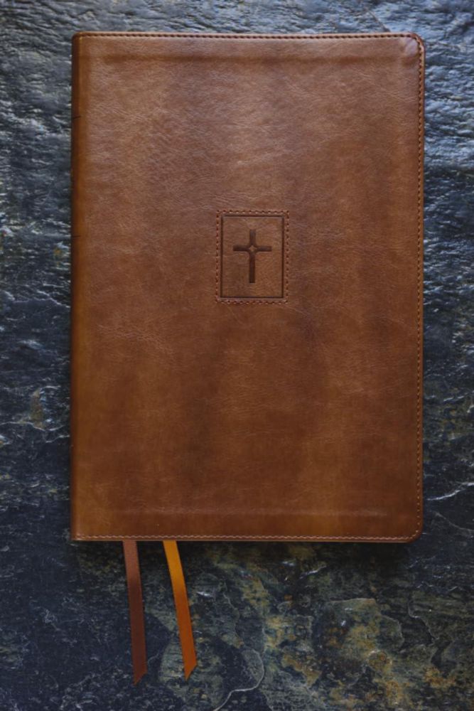Biblia Zondervan NIV delgada de gran letra color marrón